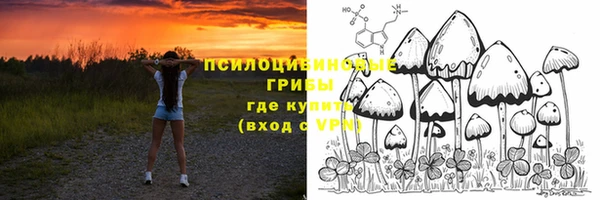 ECSTASY Иннополис