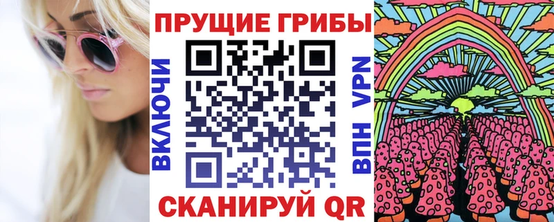 Галлюциногенные грибы Cubensis  Купить закладки  Камешково 