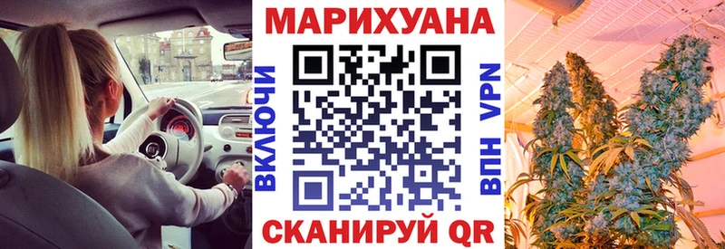 Канабис семена  Купить где  Камешково 